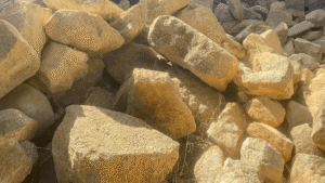 coquina rock shoreline