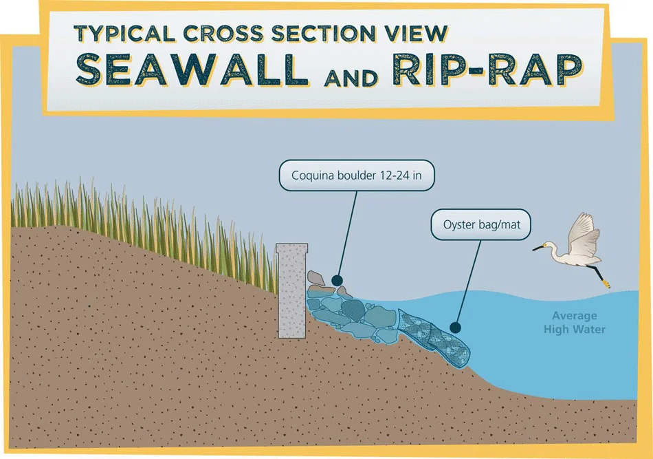 Riprap Seawall