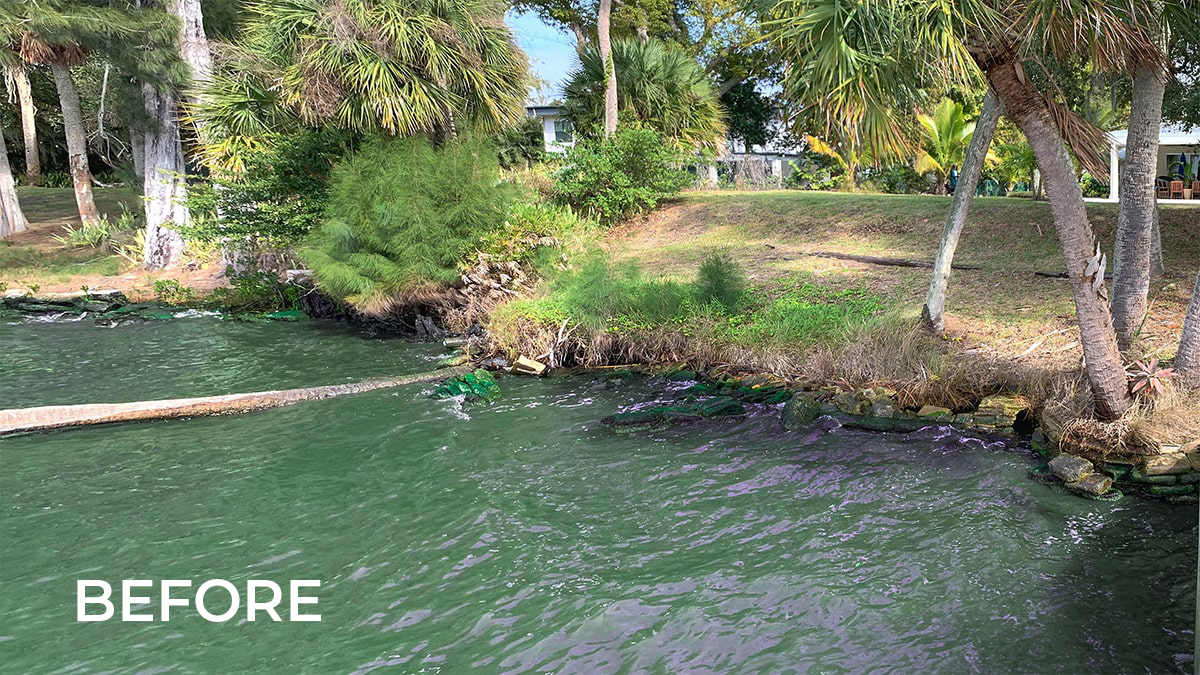 Land Clearing Before