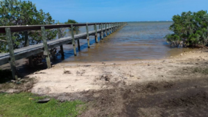 Living Shoreline hero