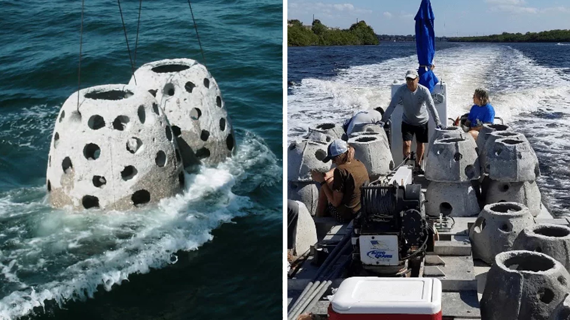 Reef balls